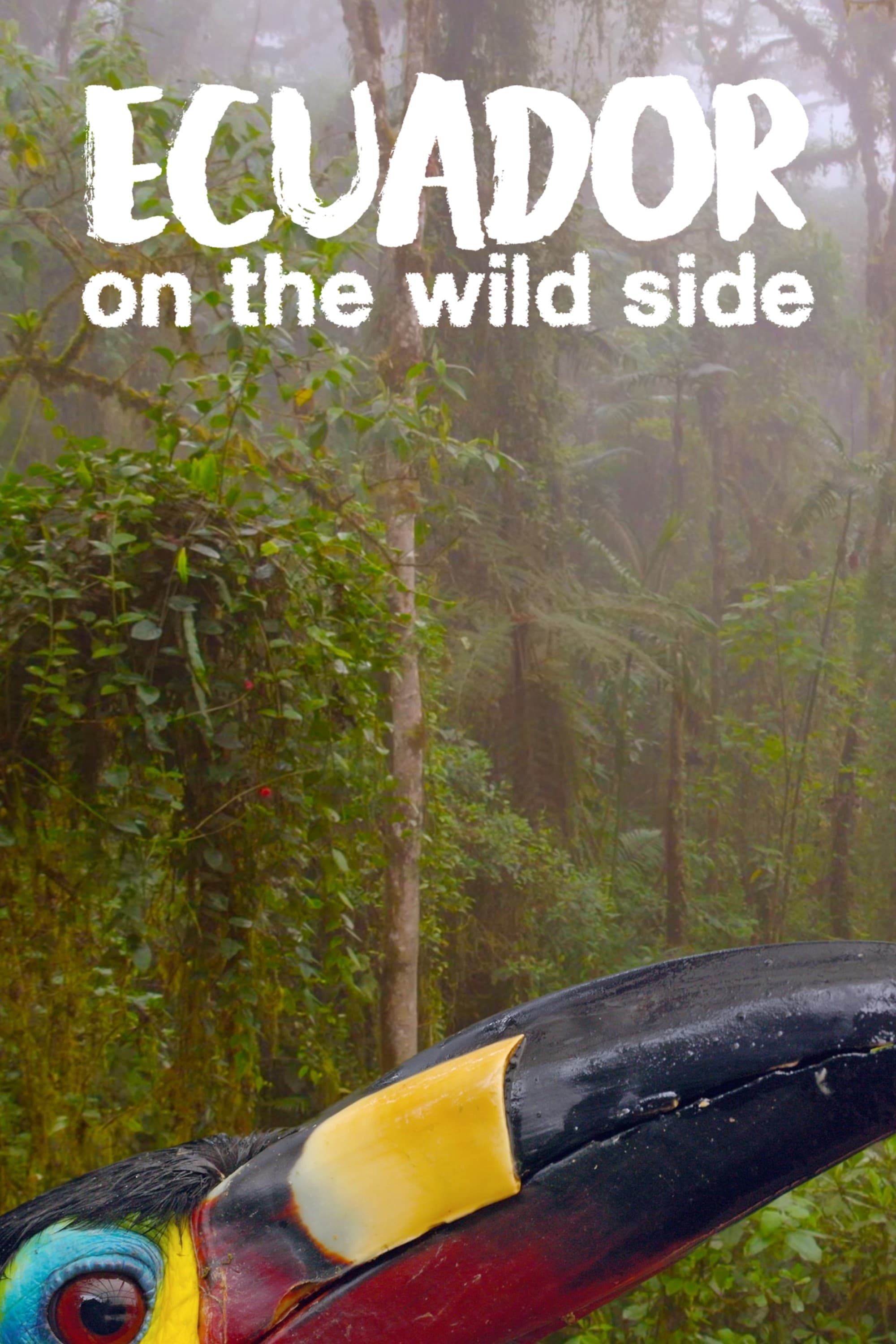 Ecuador: On the Wild Side | Ecuador: On the Wild Side