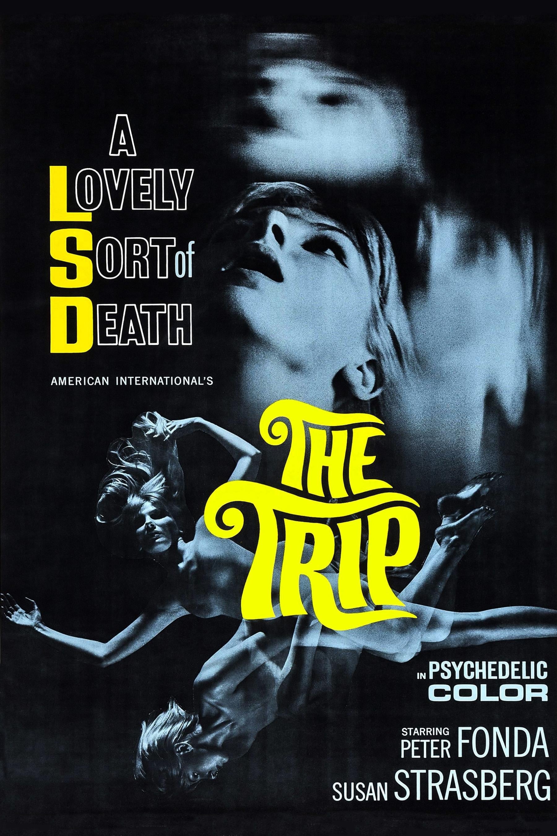 The Trip | The Trip