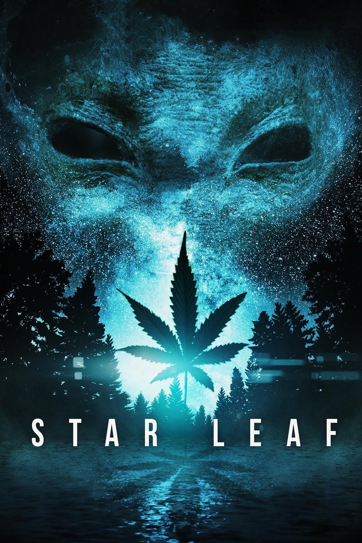 Star Leaf | Star Leaf