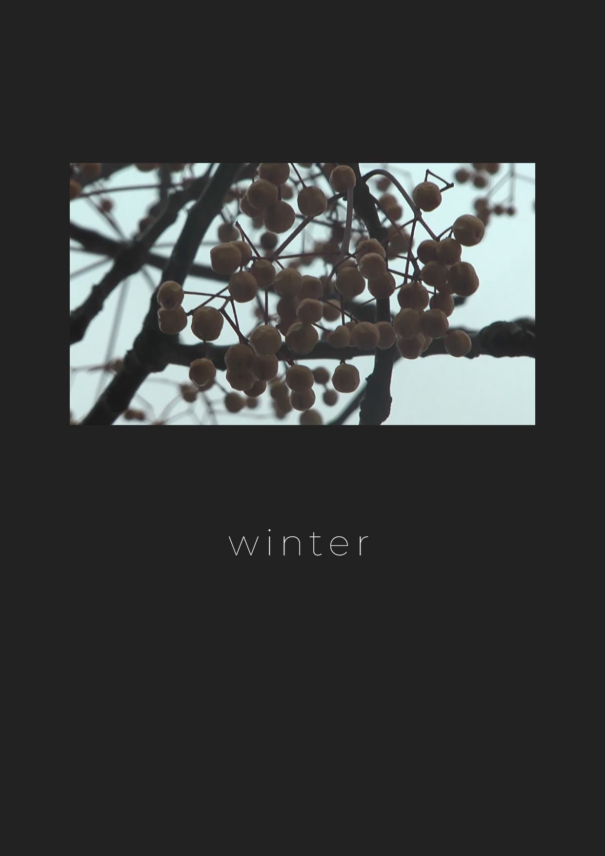 Winter | Winter