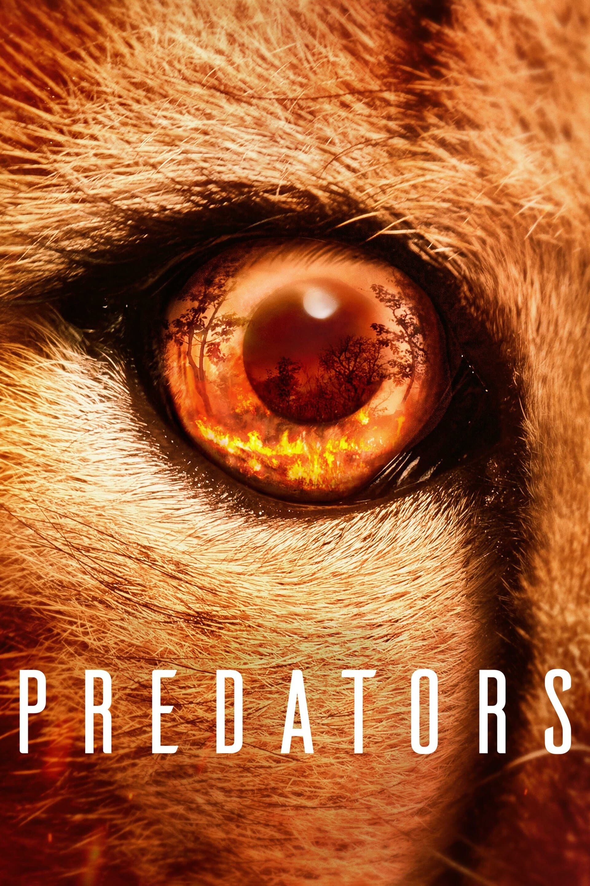 شکارگران | Predators