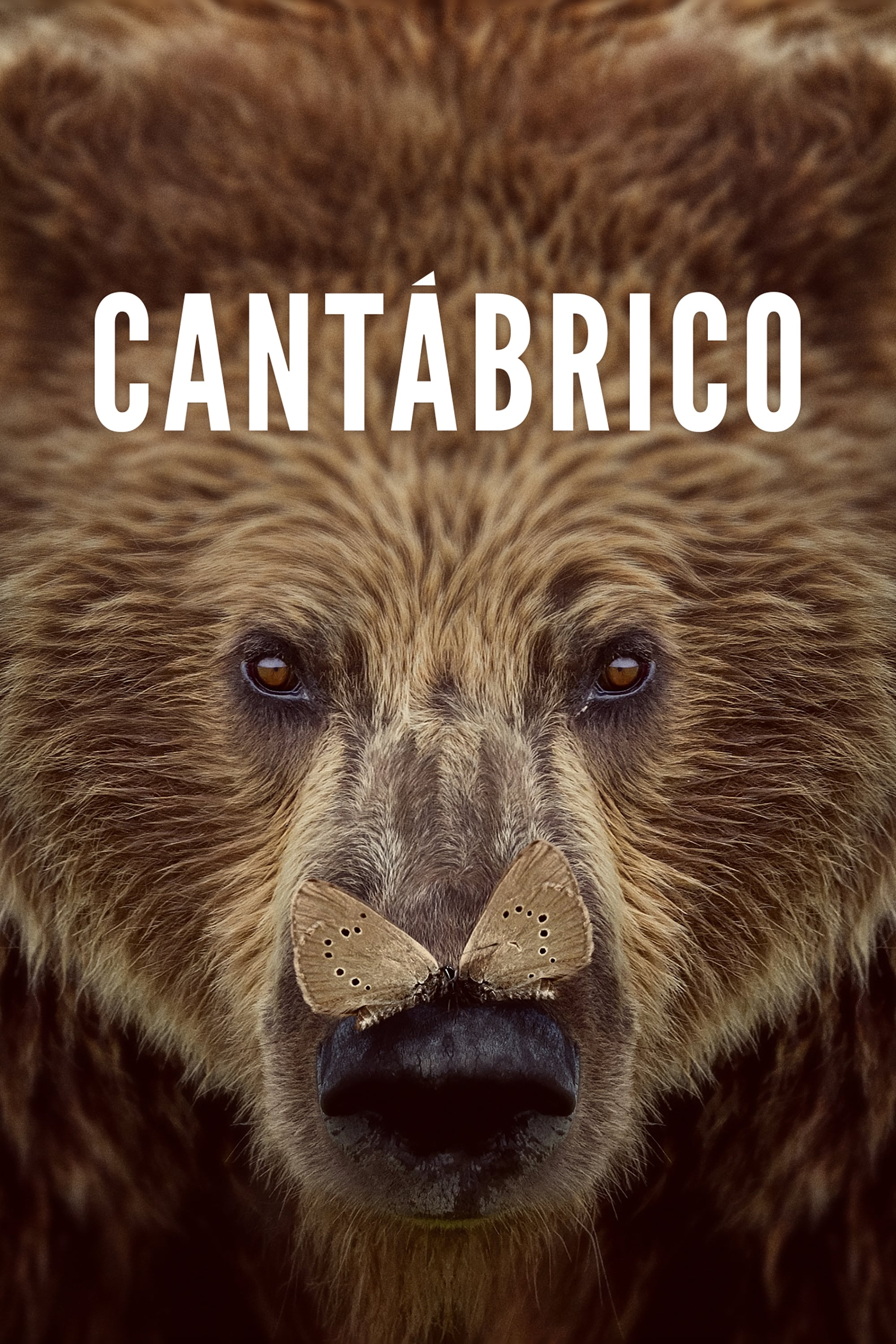 Cantábrico | Cantábrico