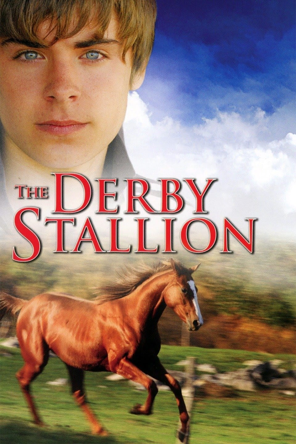 The Derby Stallion | The Derby Stallion