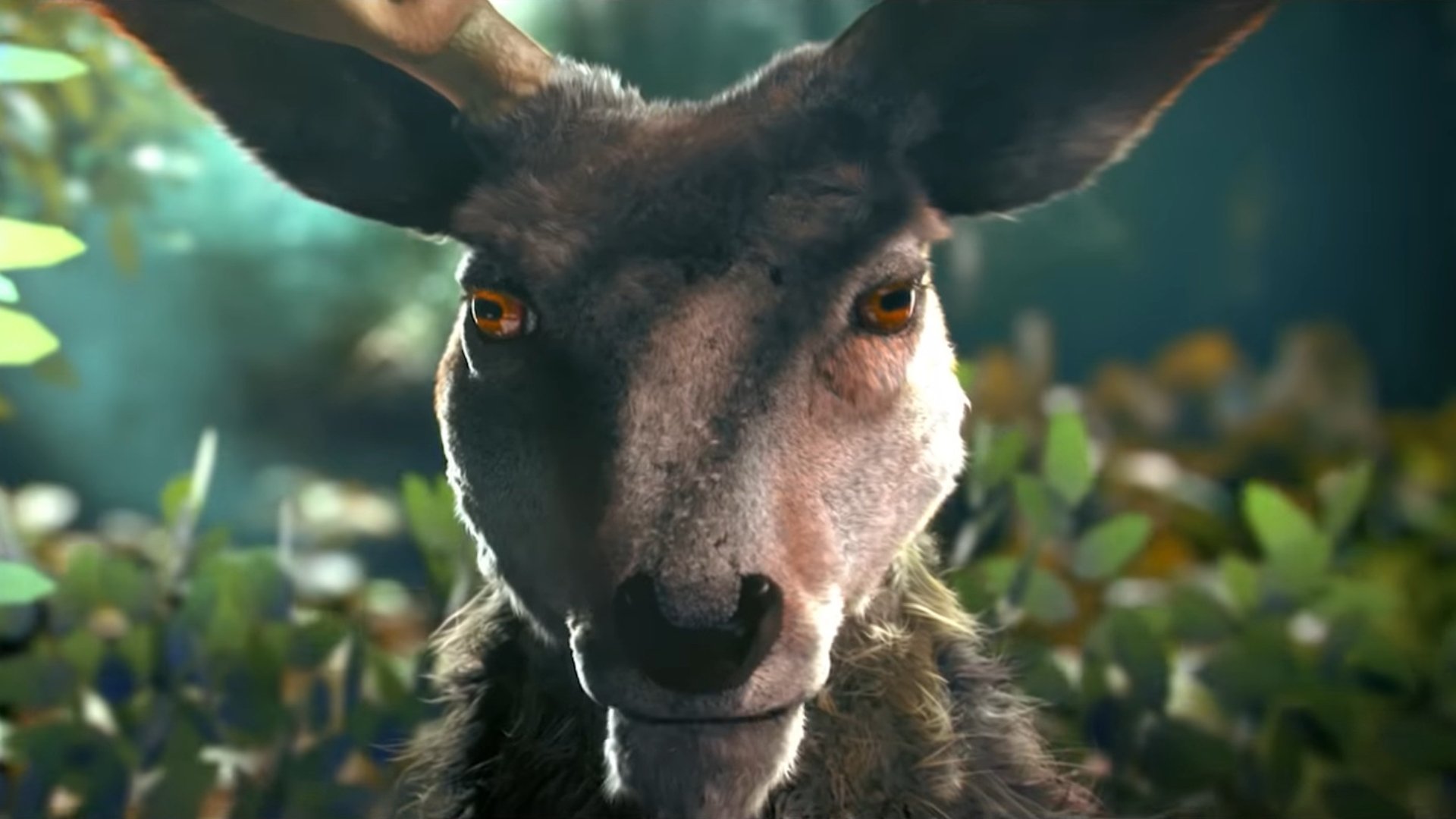 Anima|Anima
