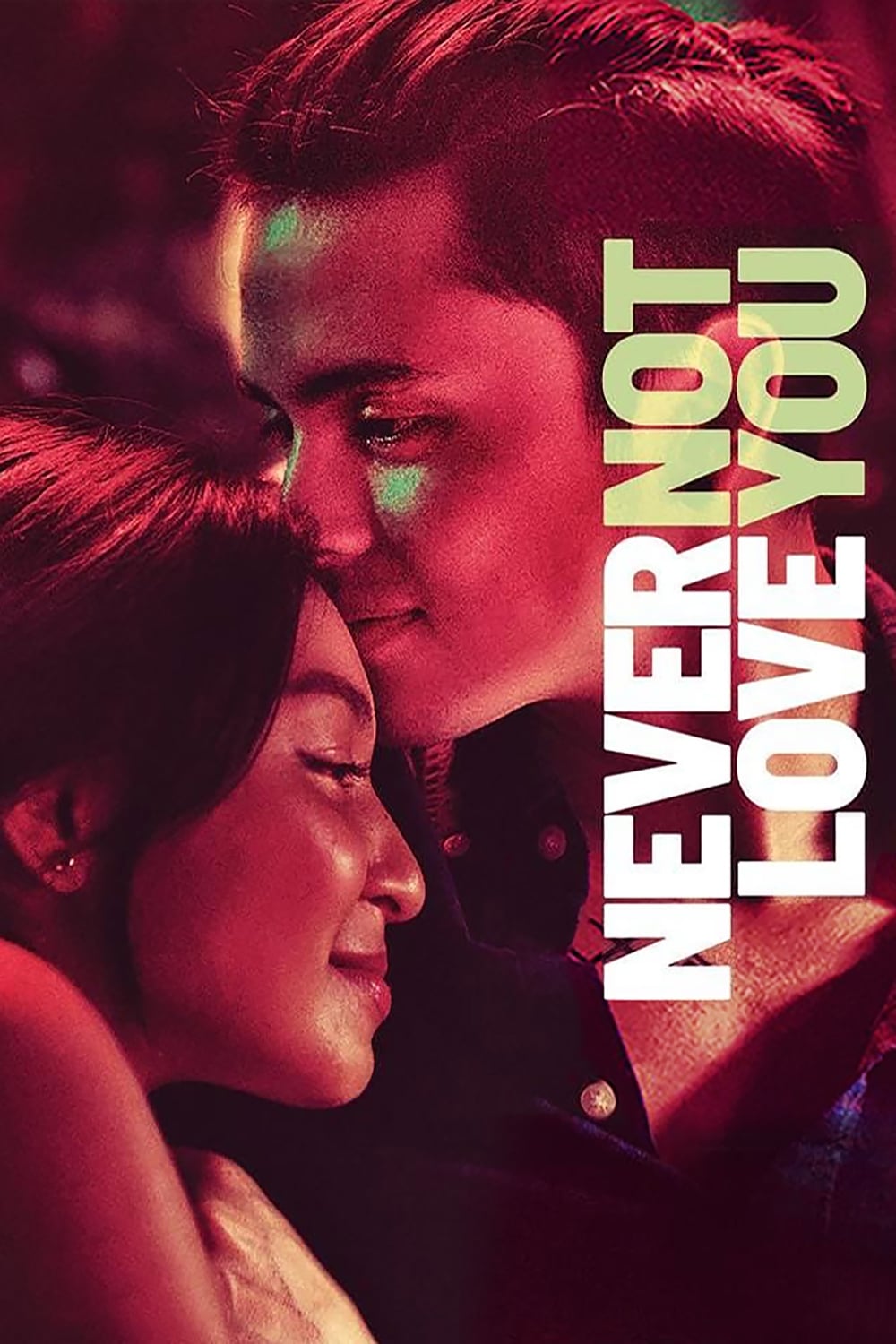 Never Not Love You | Never Not Love You