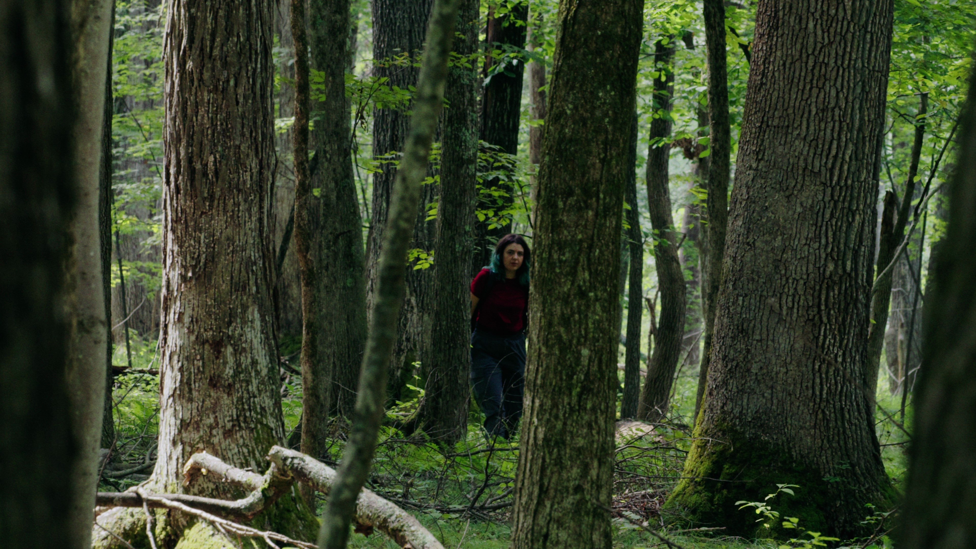 Through The Trees|Through The Trees