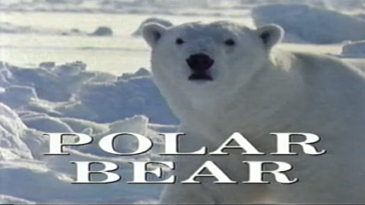 Predators of the Wild: Polar Bear|Predators of the Wild: Polar Bear