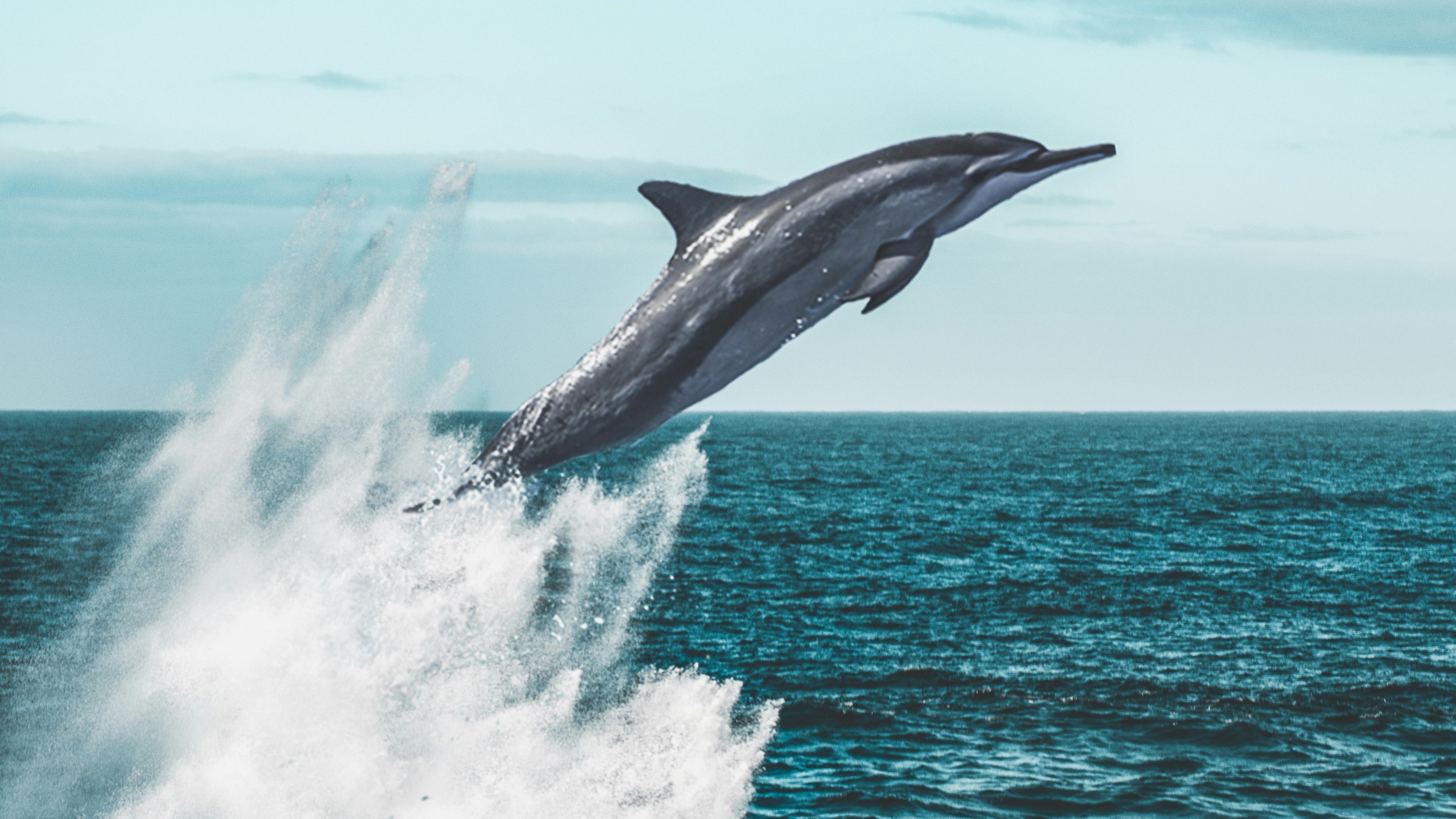 Living Waters|Living Waters