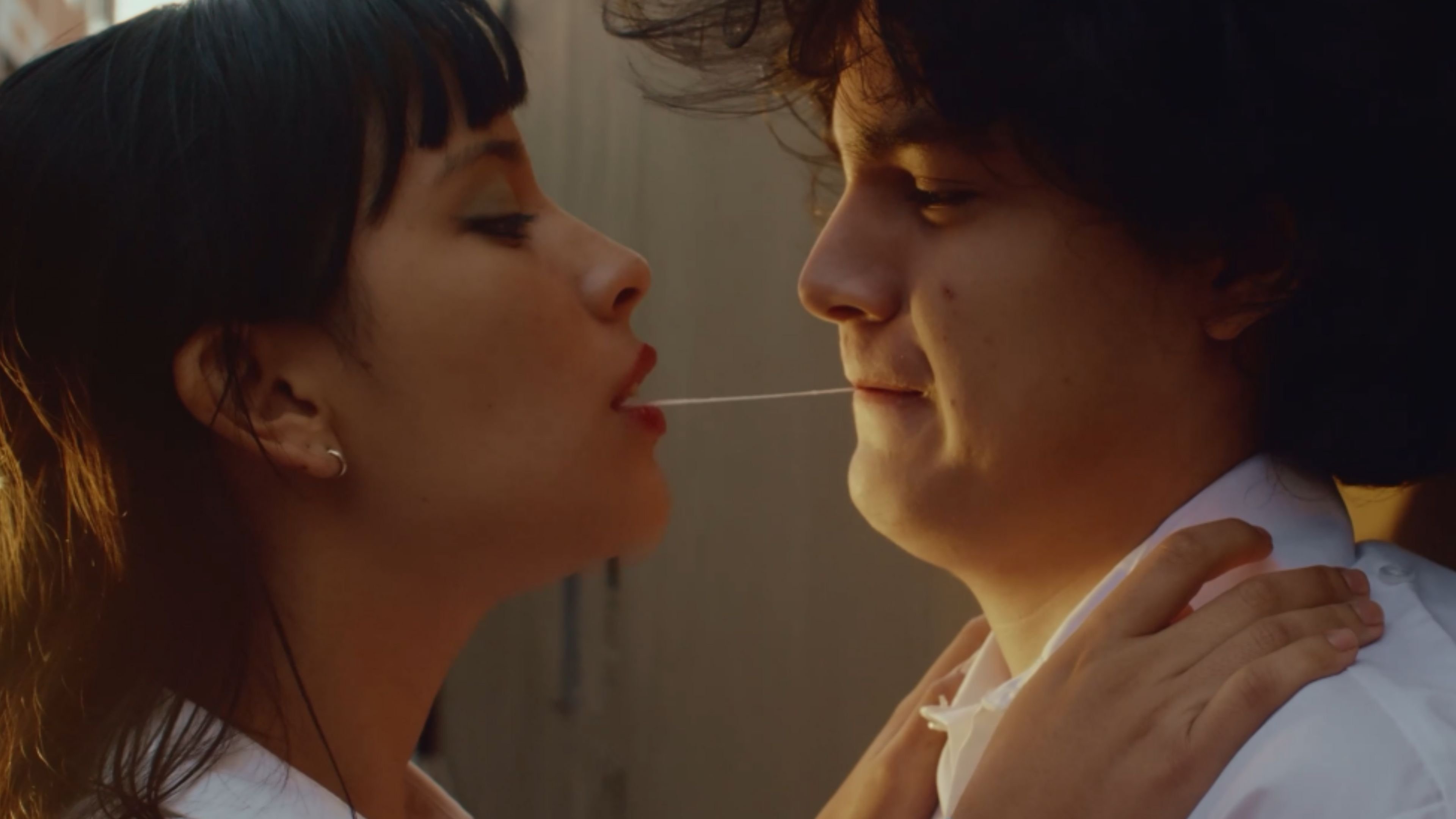 Al amor se ha dicho|Al amor se ha dicho