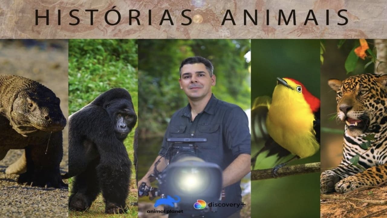 Histórias de Animais|Histórias de Animais