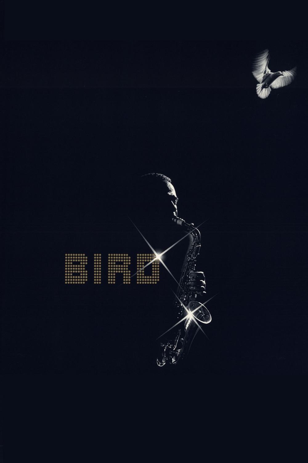 Bird | Bird