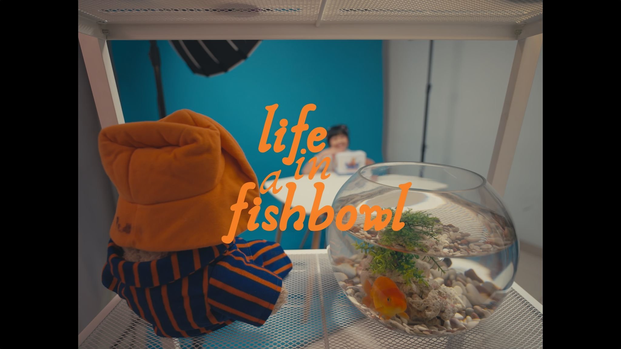 Life in a Fishbowl|Life in a Fishbowl