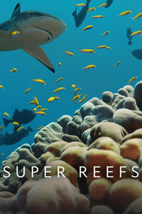 Super Reefs | Super Reefs