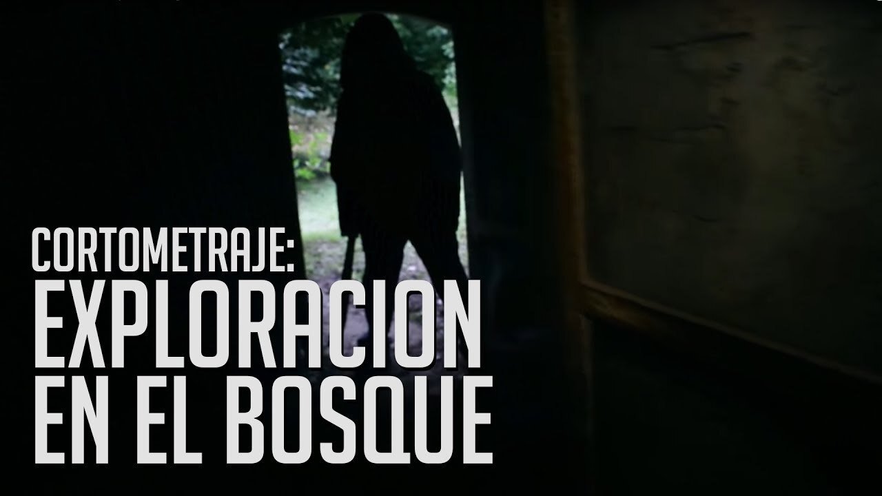 Trágica exploración en el Bosque|Trágica exploración en el Bosque