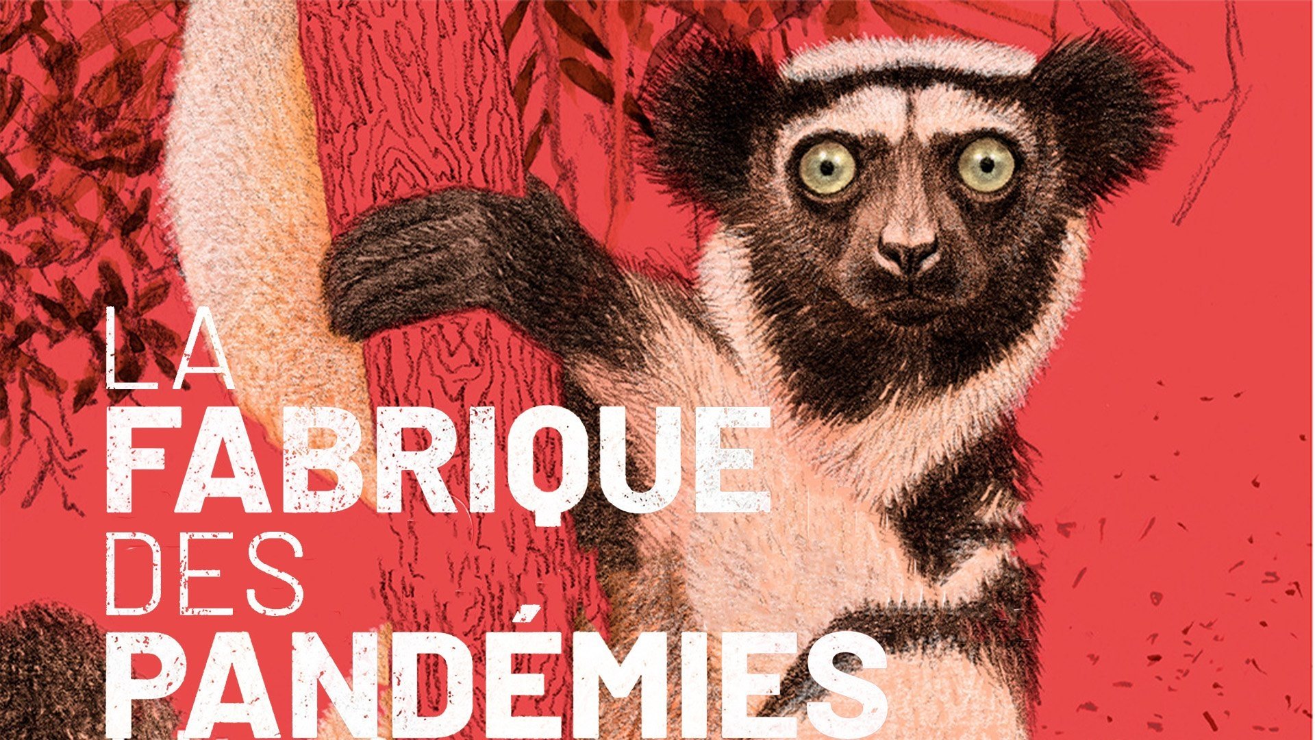La fabrique des pandémies|La fabrique des pandémies
