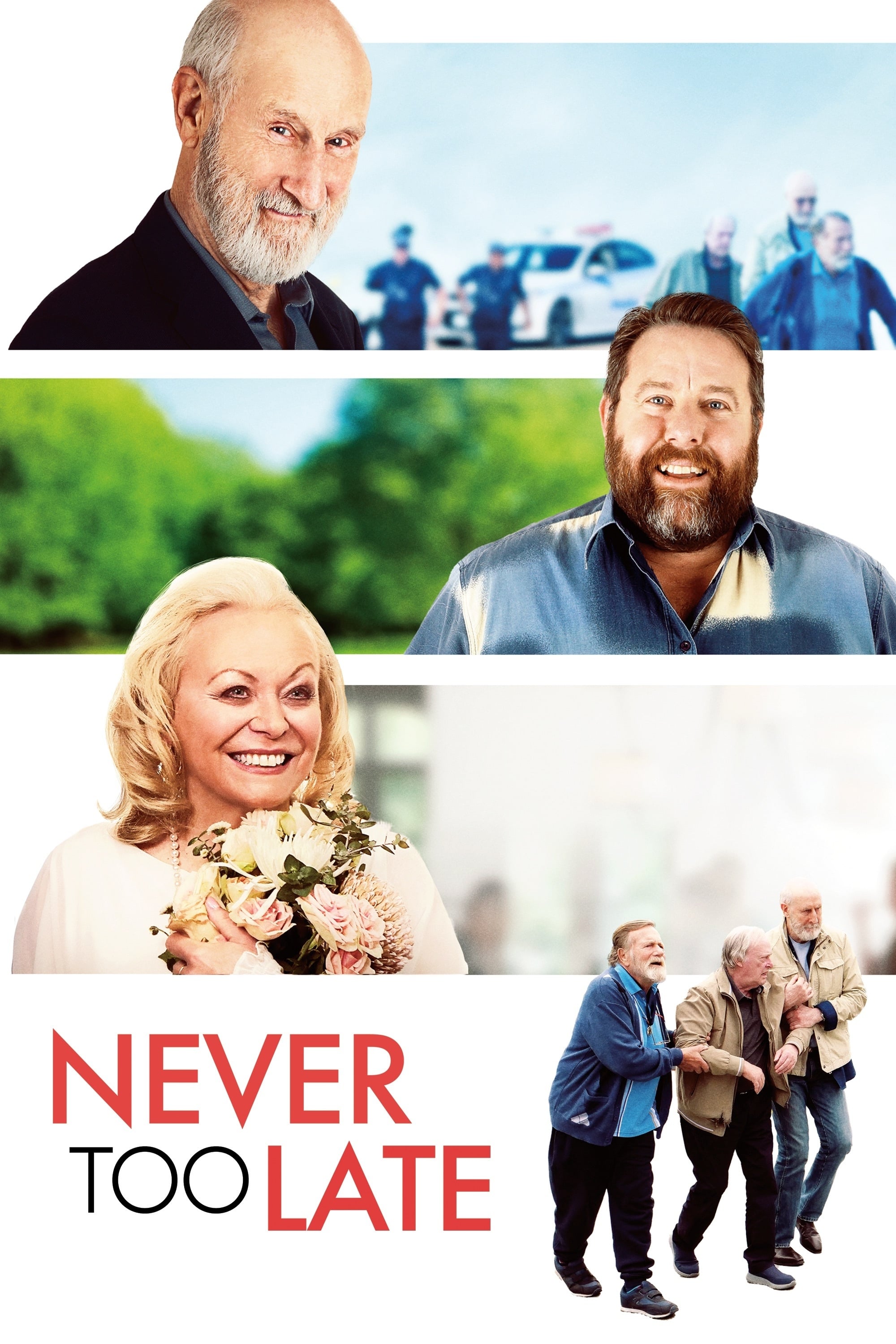 Never Too Late | Never Too Late