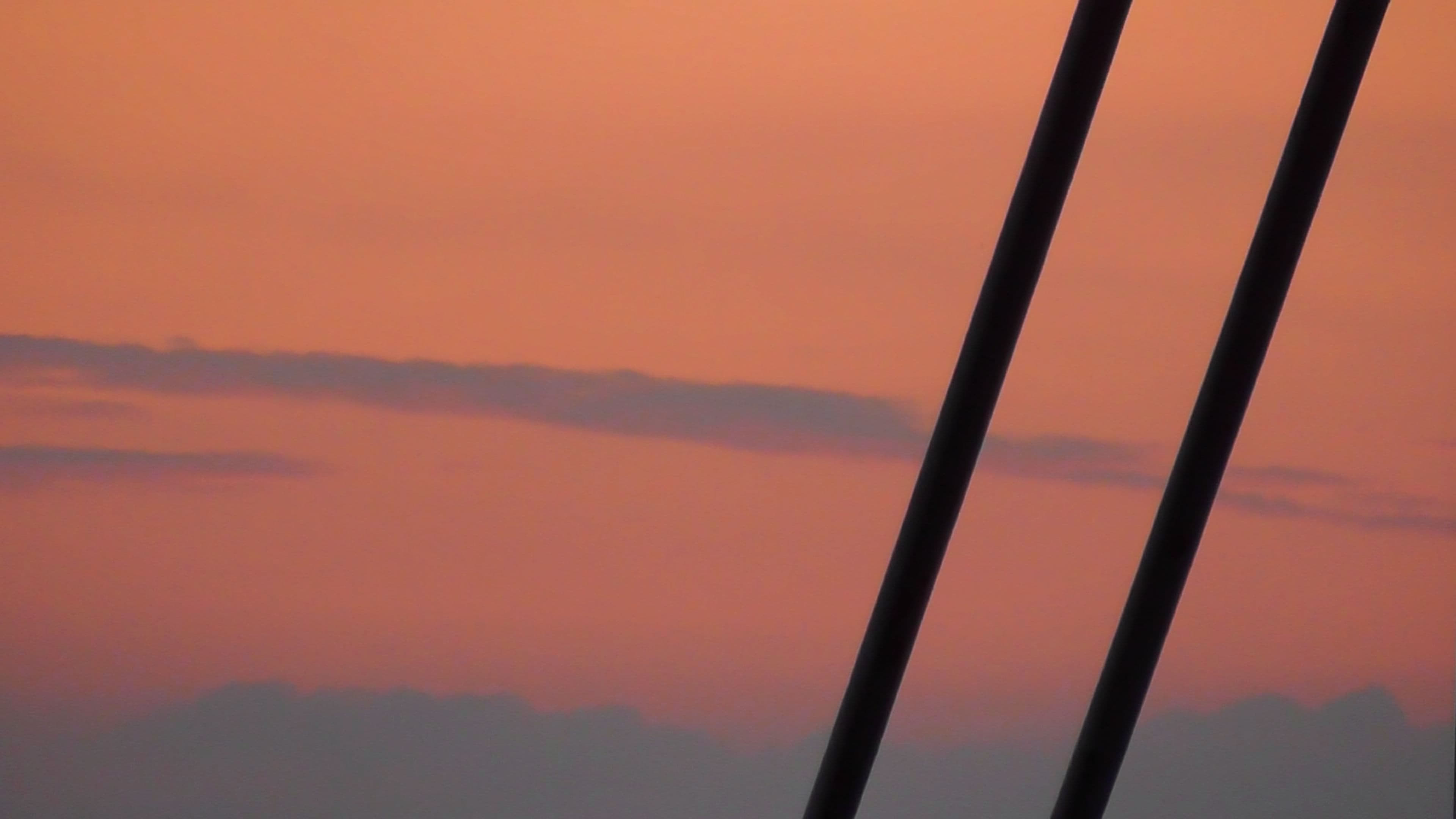 تصویر 0