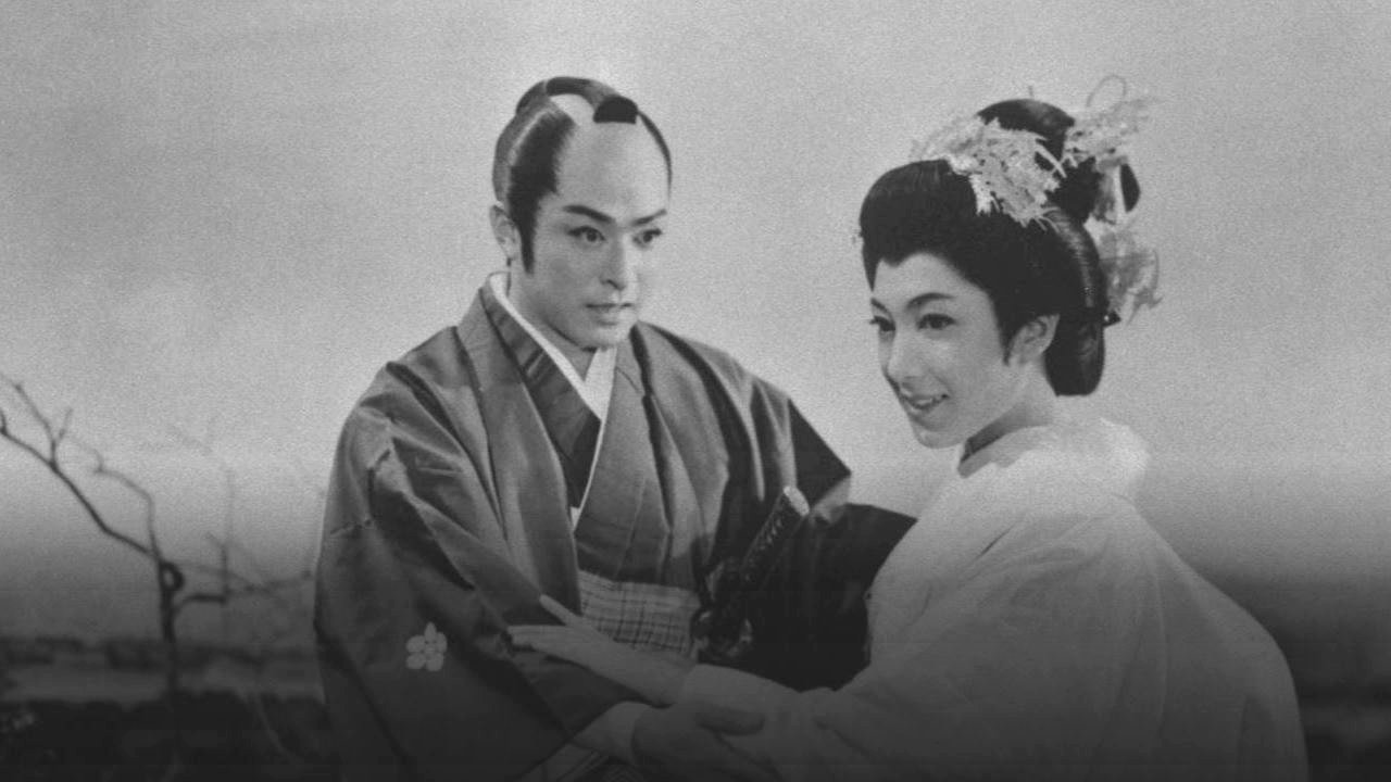 緋ざくら大名|緋ざくら大名