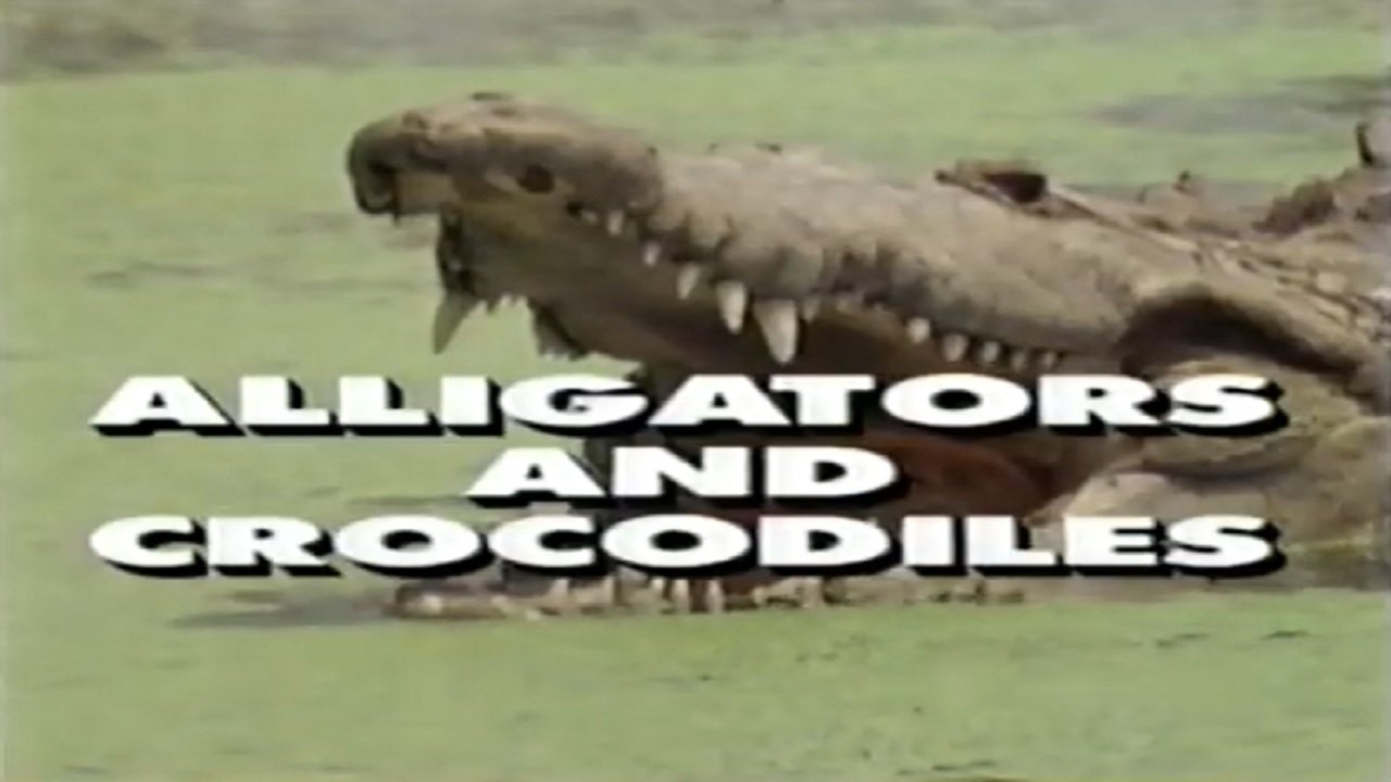 Predators of the Wild: Crocodiles and Alligators|Predators of the Wild: Crocodiles and Alligators