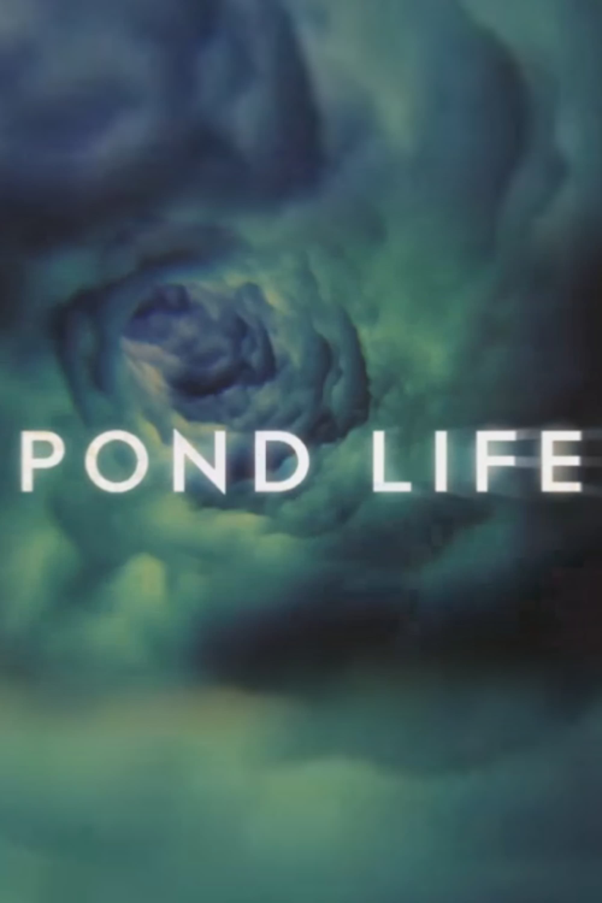 Pond Life | Pond Life