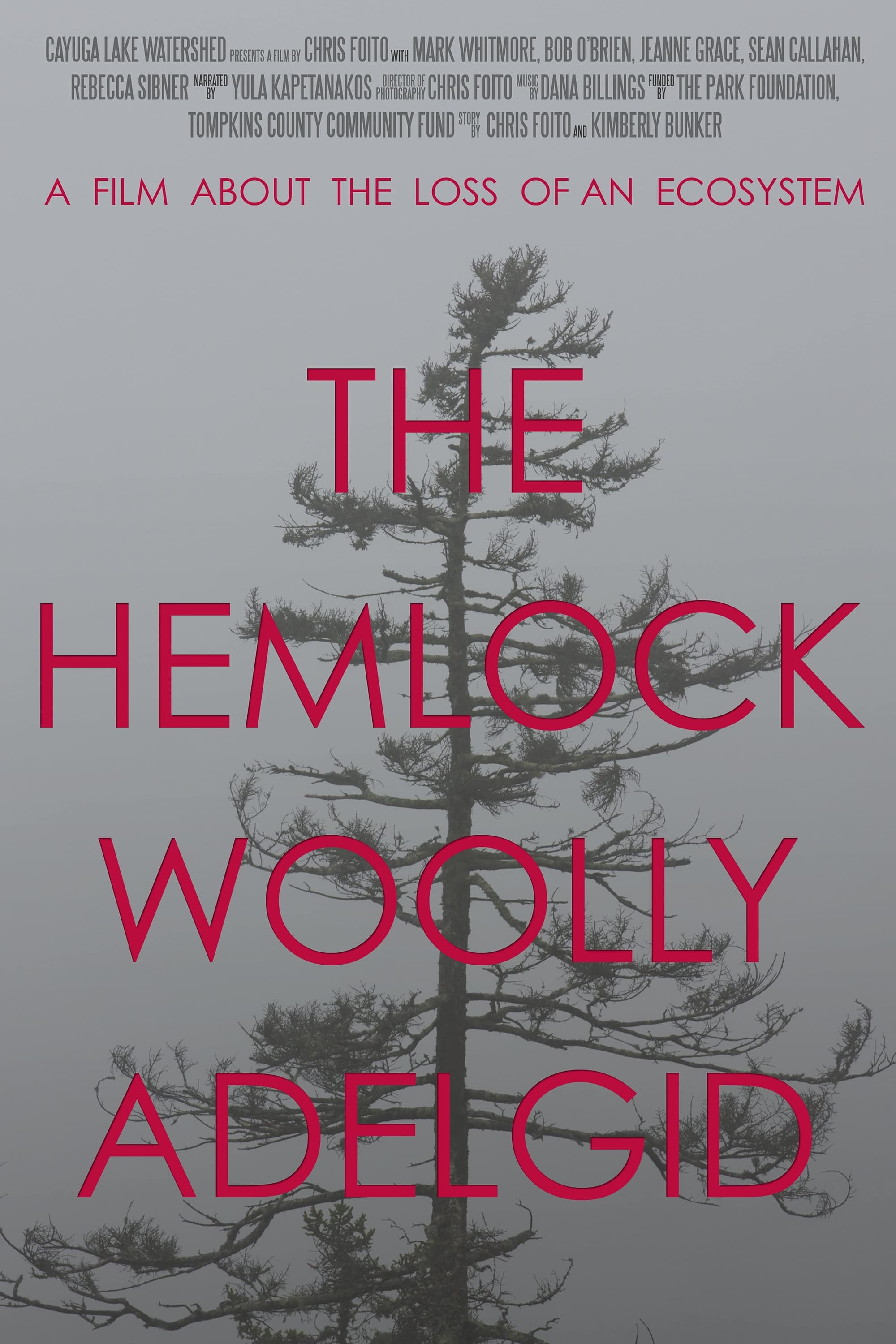 The Hemlock Woolly Adelgid: A Film About the Loss of an Ecosystem | The Hemlock Woolly Adelgid: A Film About the Loss of an Ecosystem