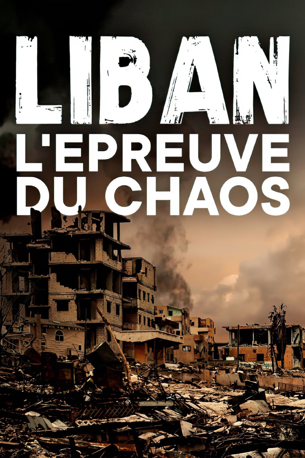 Liban, l'épreuve du chaos | Liban, l'épreuve du chaos