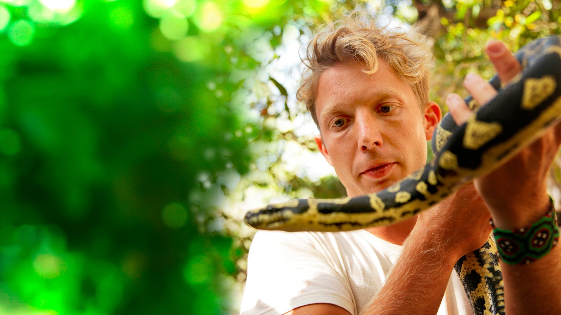 Fearless Adventures with Jack Randall|Fearless Adventures with Jack Randall