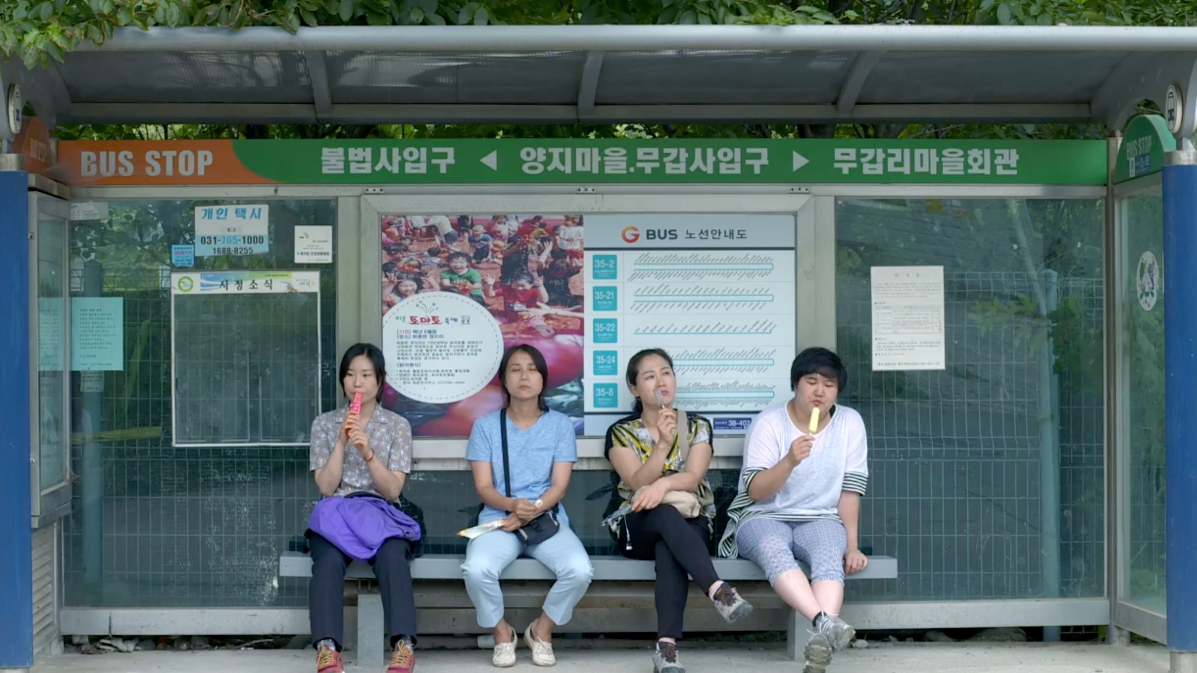 파란입이 달린 얼굴|파란입이 달린 얼굴