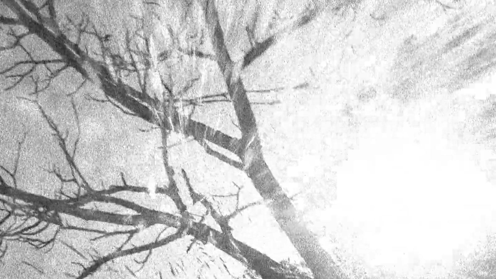 Spectral Ascension|Spectral Ascension