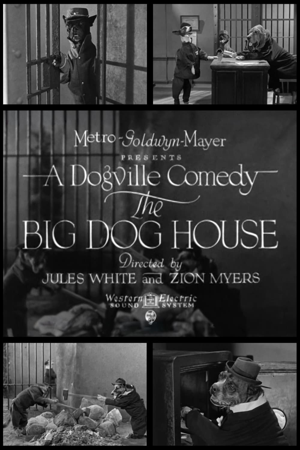 The Big Dog House | The Big Dog House