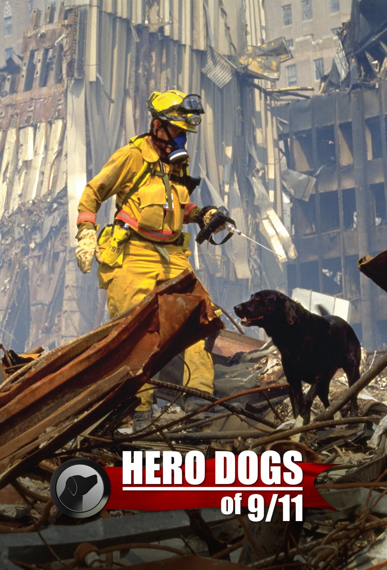 Hero Dogs Of 9/11 | Hero Dogs Of 9/11