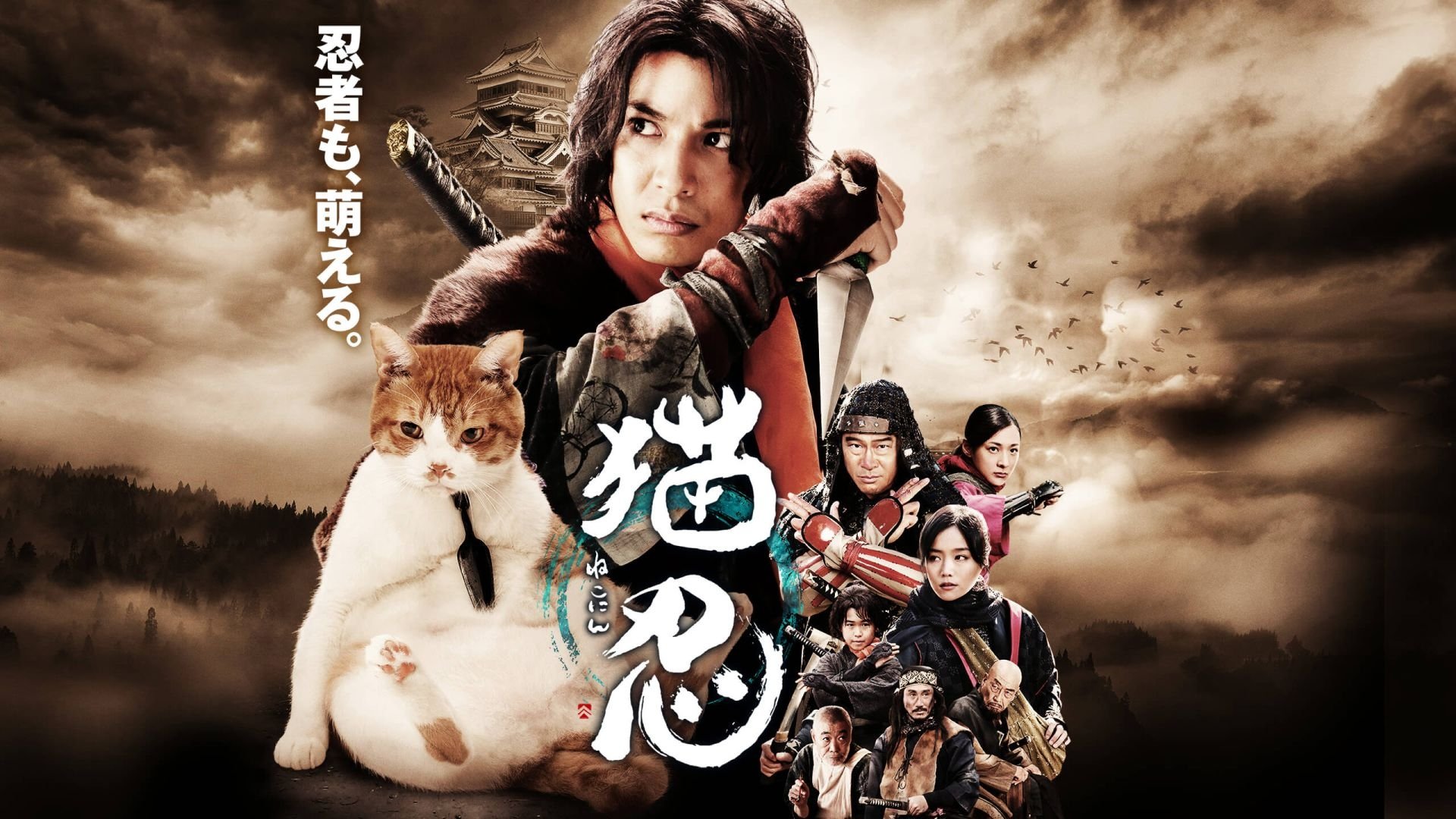 猫忍|猫忍