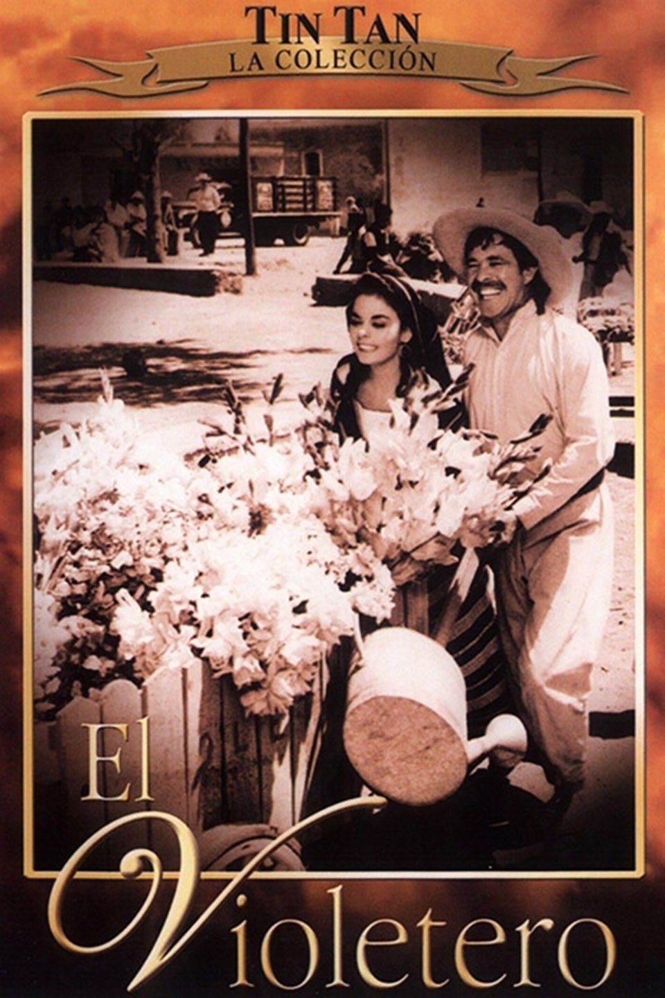 El Violetero | El Violetero