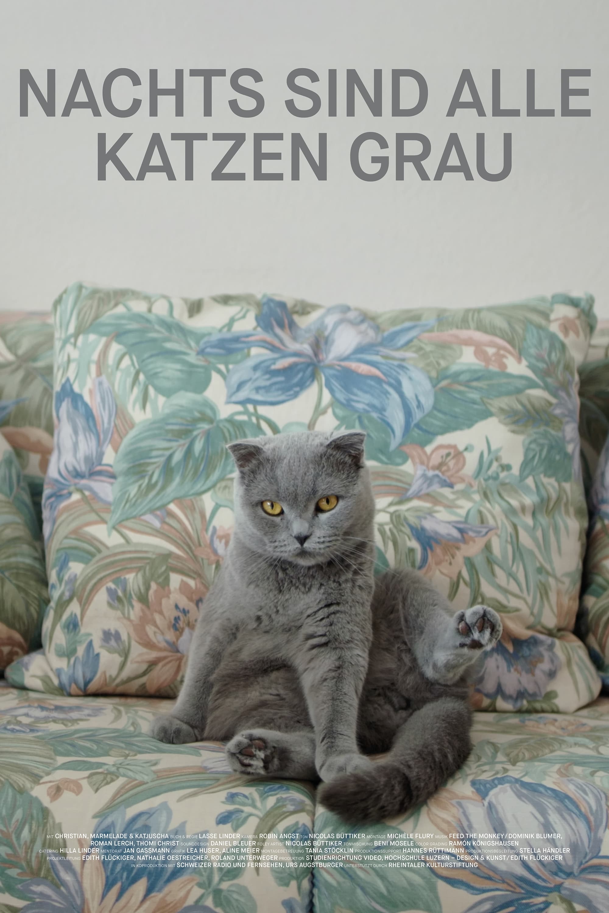 Nachts sind alle Katzen grau | Nachts sind alle Katzen grau