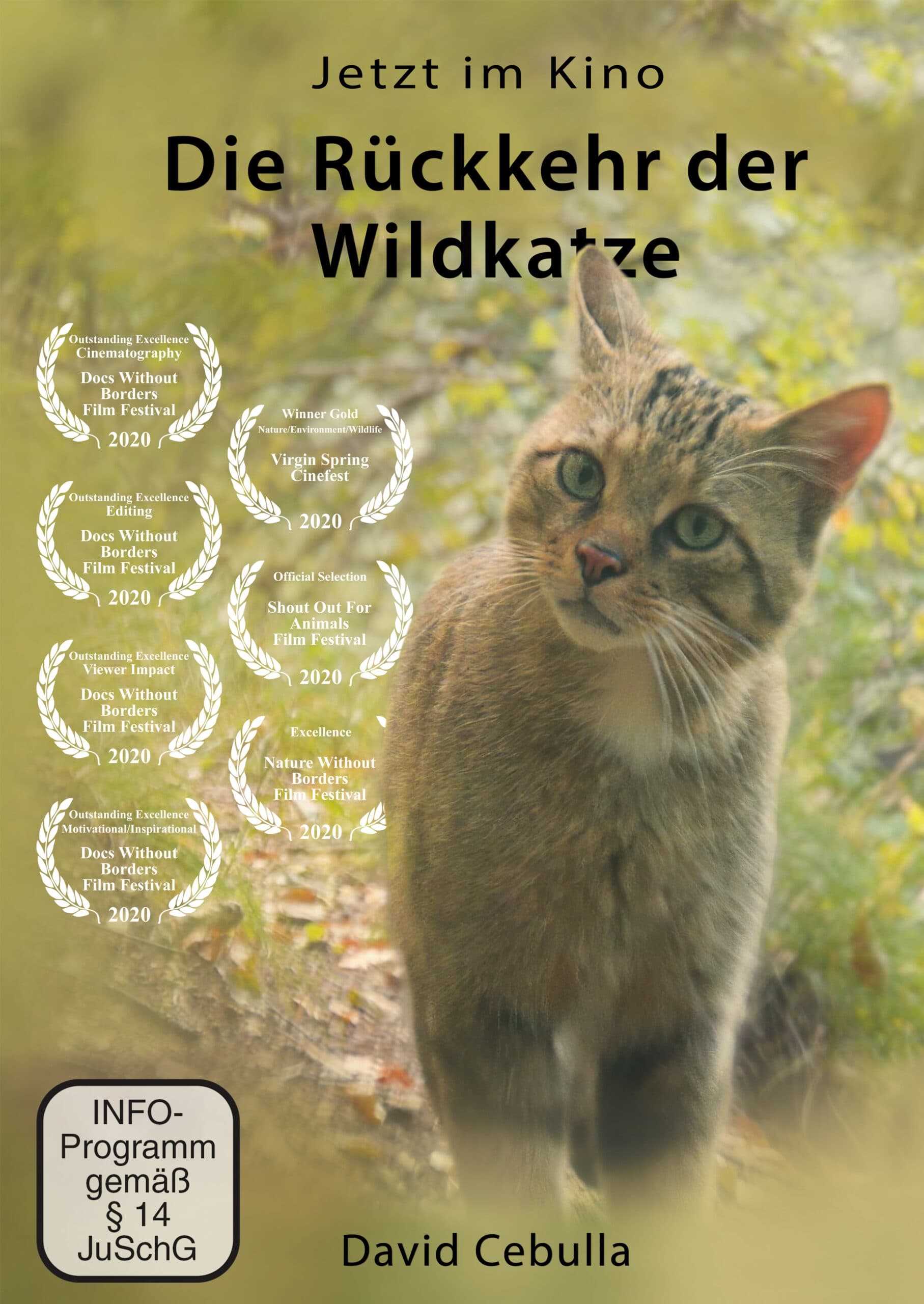 Die Rückkehr der Wildkatze | Die Rückkehr der Wildkatze