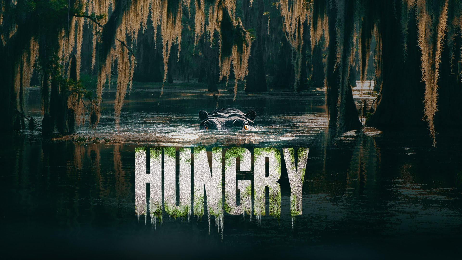 Hungry|Hungry