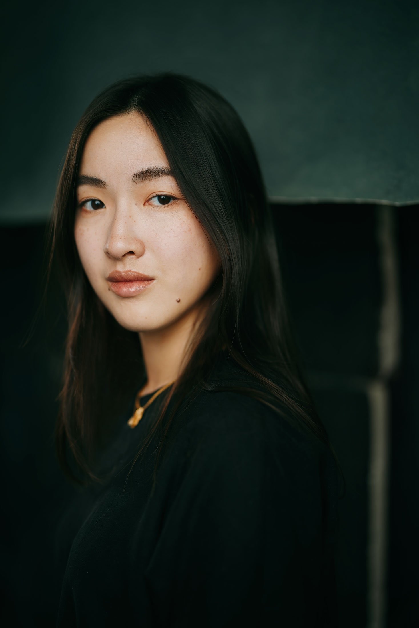 بازیگر Theresa Wang  
