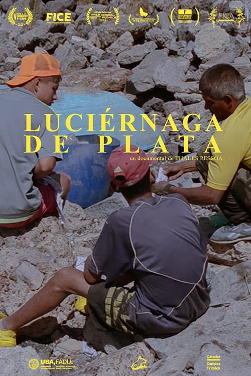 Luciérnaga de Plata | Luciérnaga de Plata