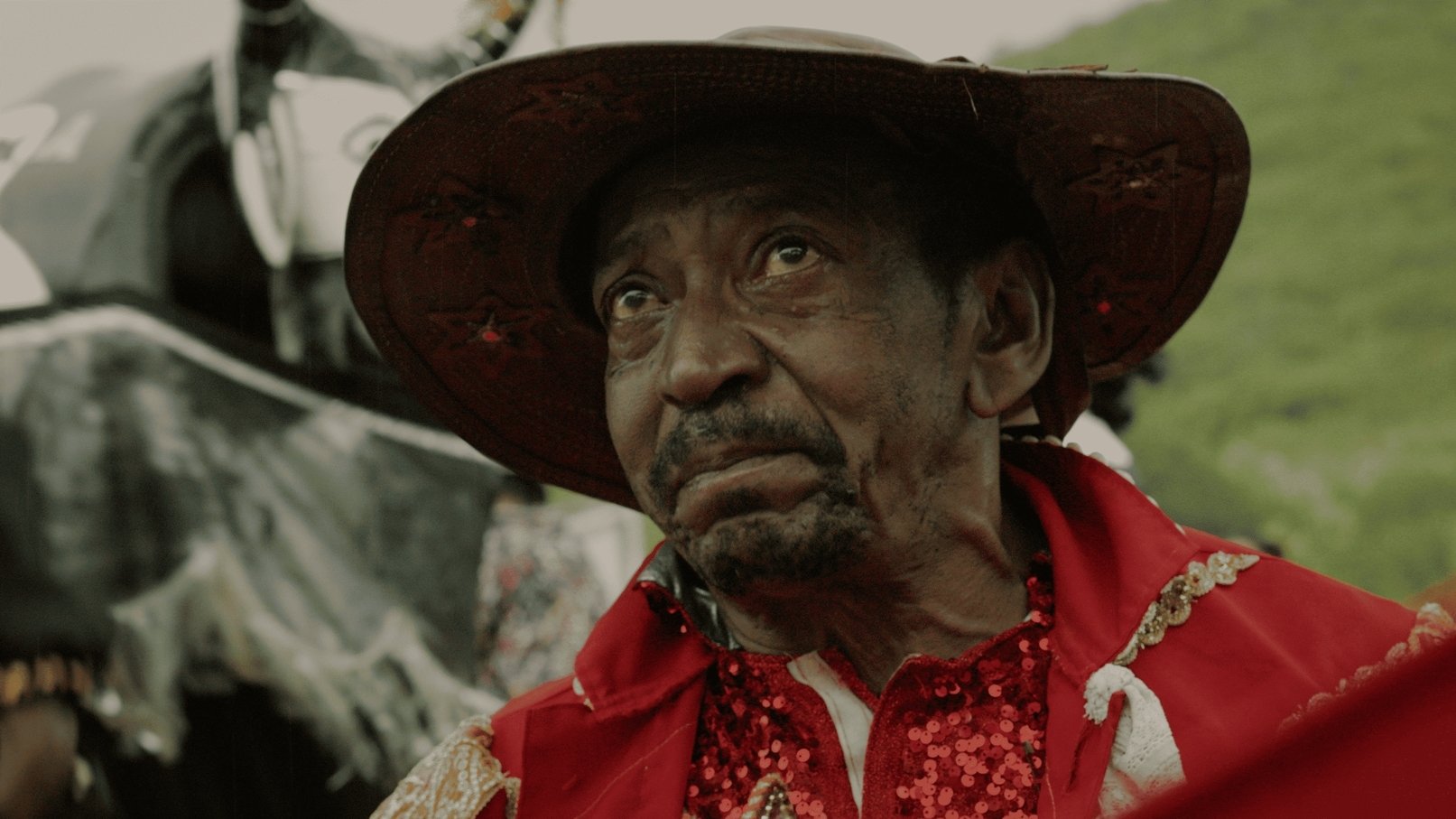 O Carnaval é de Pelé|O Carnaval é de Pelé