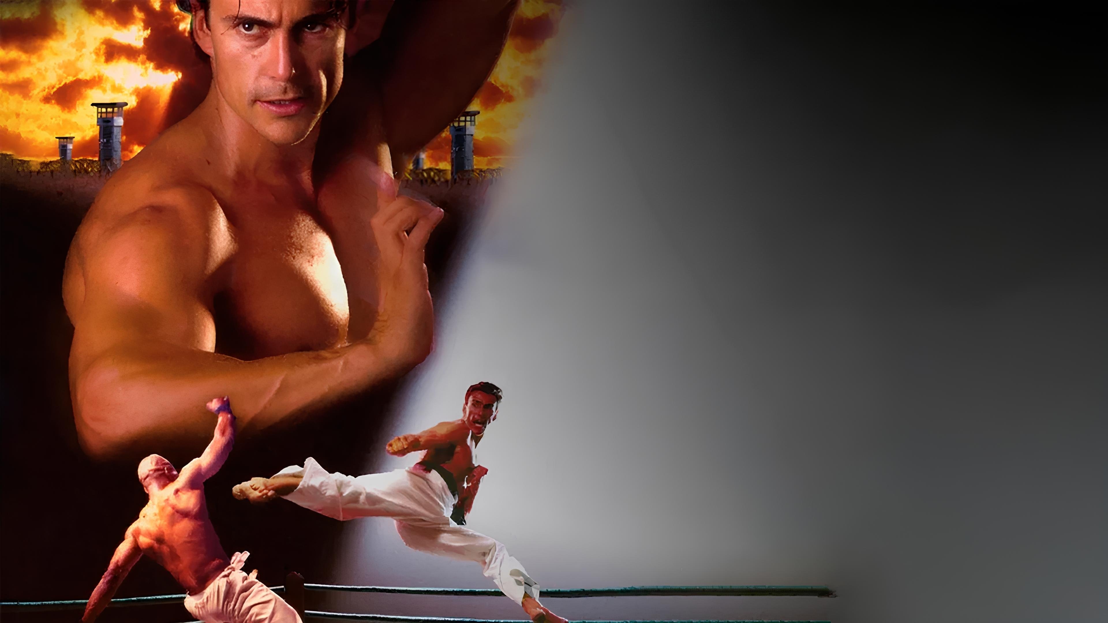 Bloodsport: The Dark Kumite|Bloodsport: The Dark Kumite