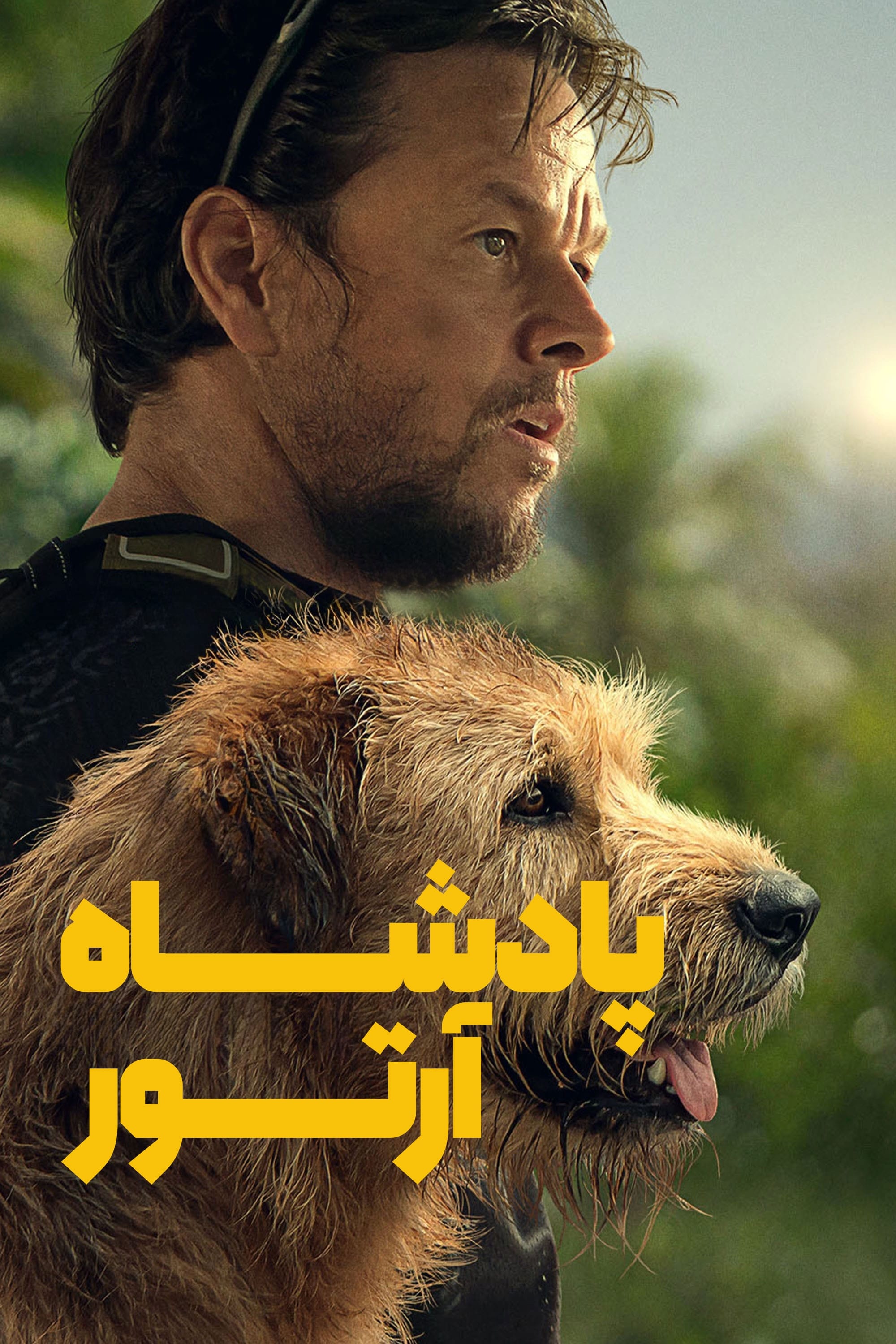 پادشاه آرتور | Arthur the King