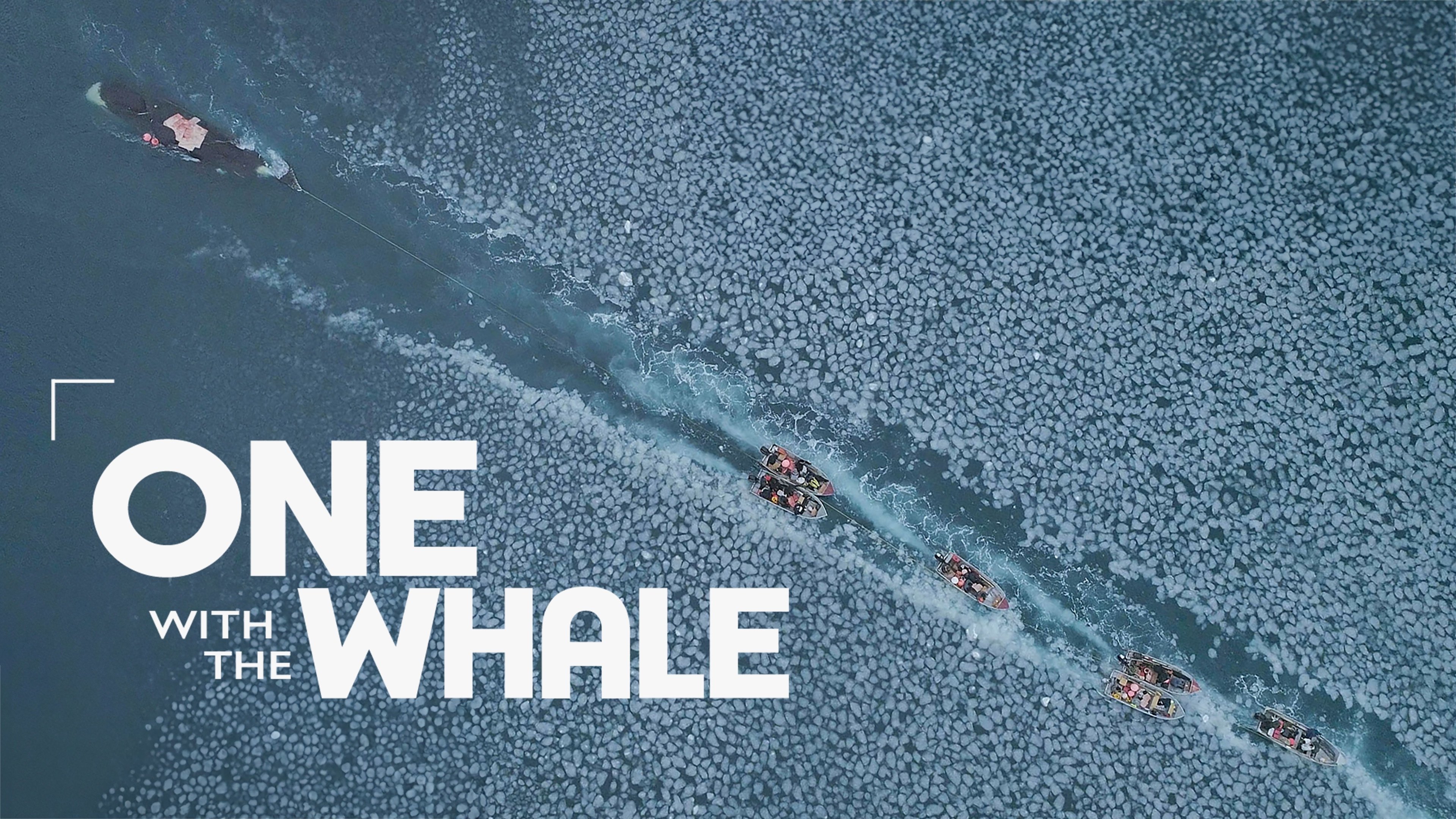 One with the Whale|One with the Whale