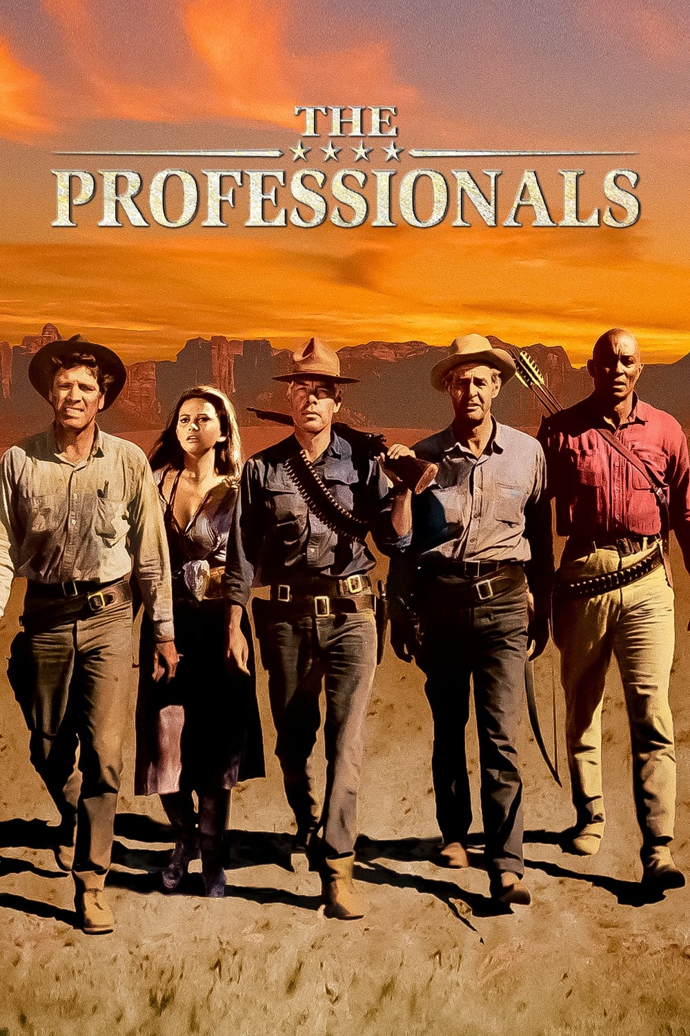 حرفه‌ای‌ها | The Professionals