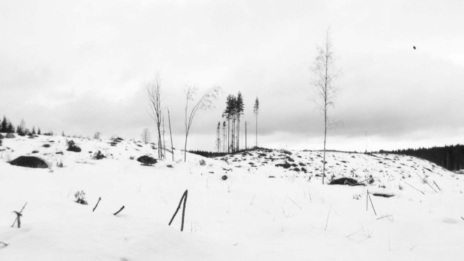 Winterreise|Winterreise