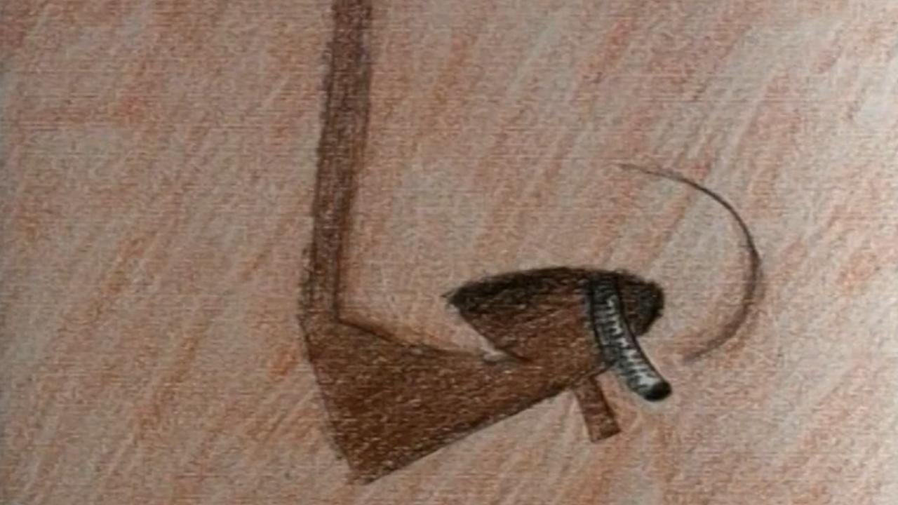 Nosehair|Nosehair