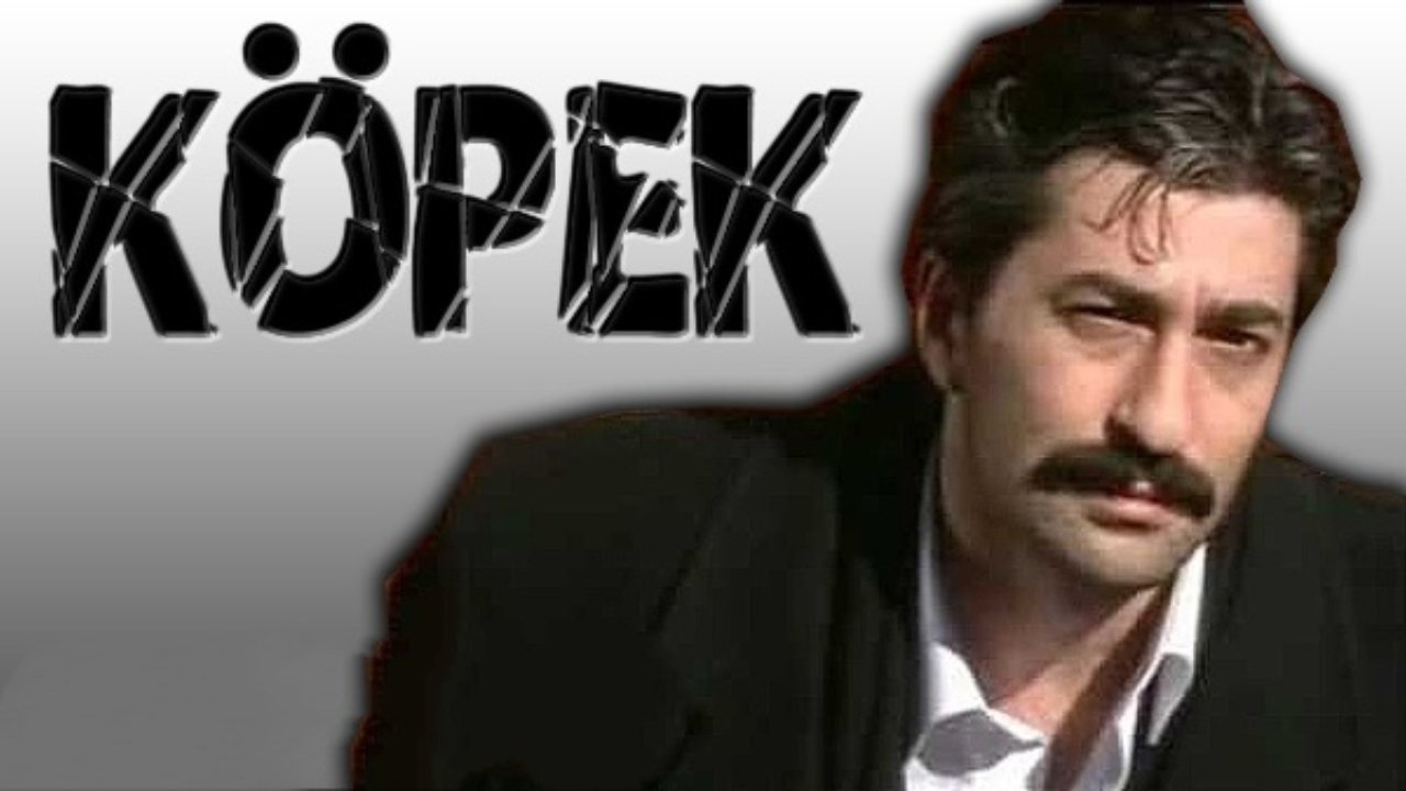 Köpek|Köpek
