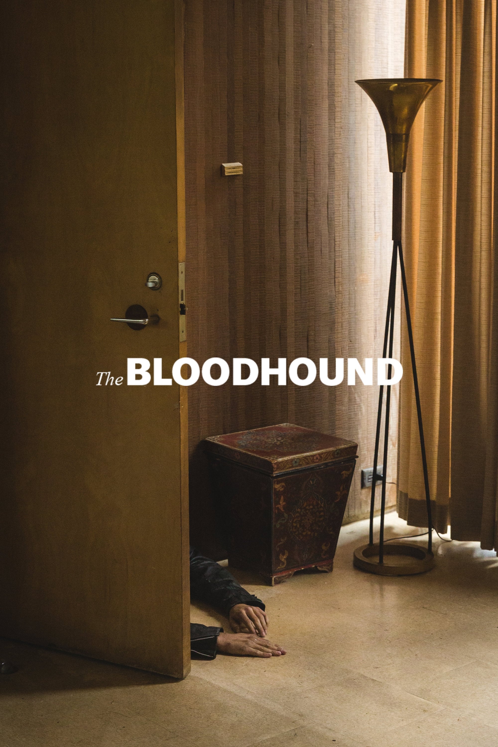 The Bloodhound | The Bloodhound