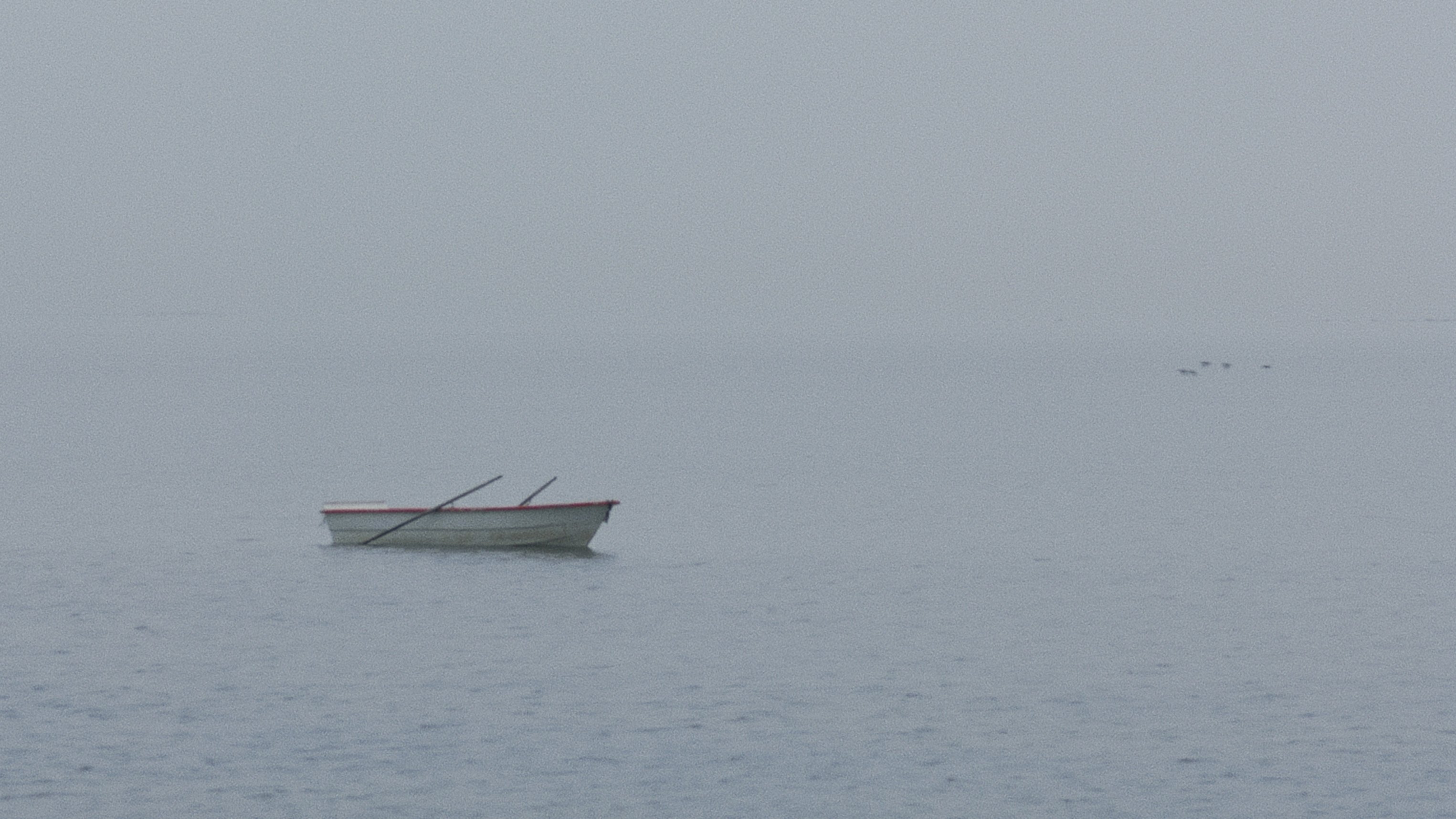 تصویر 0