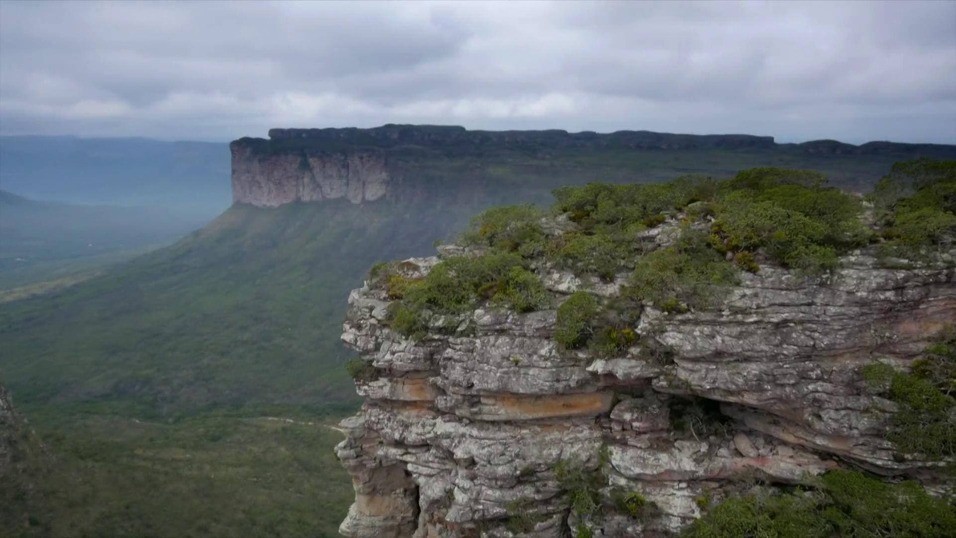 Terra X: Sensationsfund in Brasilien - Die ersten Amerikaner|Terra X: Sensationsfund in Brasilien - Die ersten Amerikaner