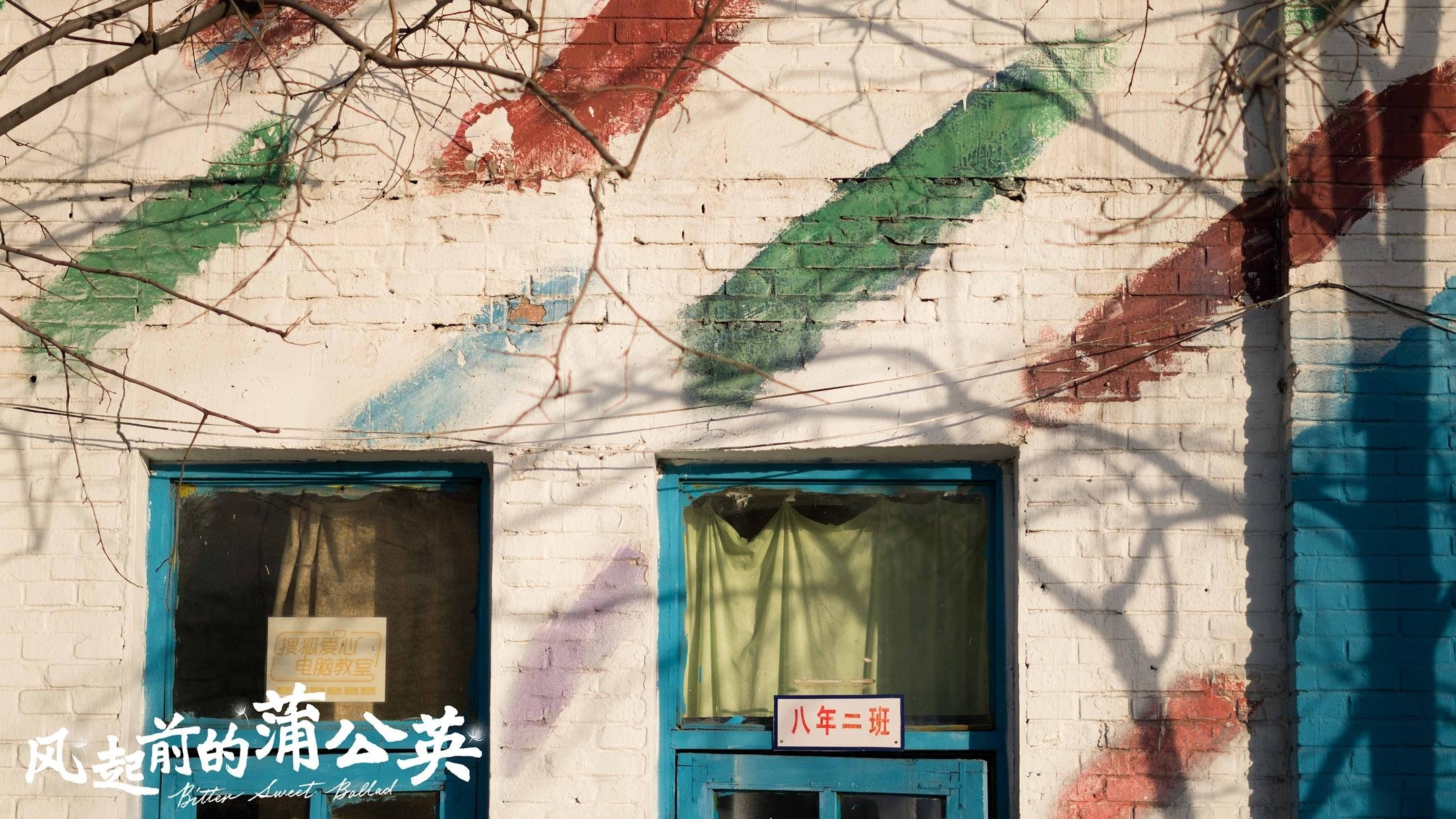 风起前的蒲公英|风起前的蒲公英